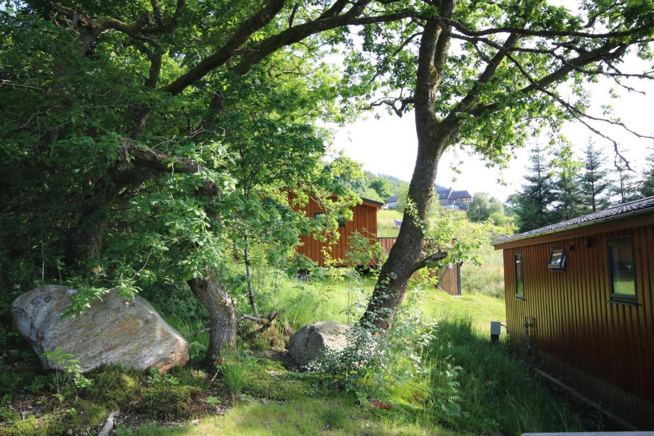 Balquhidder Braes Holiday Park Lodges, Mostly With Hot Tubs And Pet Friendly, Ev Facilities Lochearnhead Exterior foto