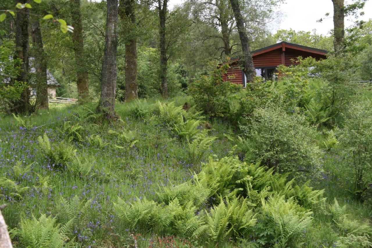 Balquhidder Braes Holiday Park Lodges, Mostly With Hot Tubs And Pet Friendly, Ev Facilities Lochearnhead Exterior foto
